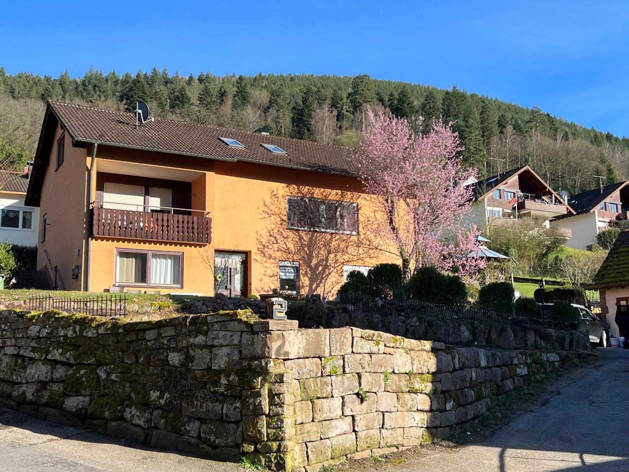 Viva La Wildbad Apartment Bad Wildbad Exterior photo
